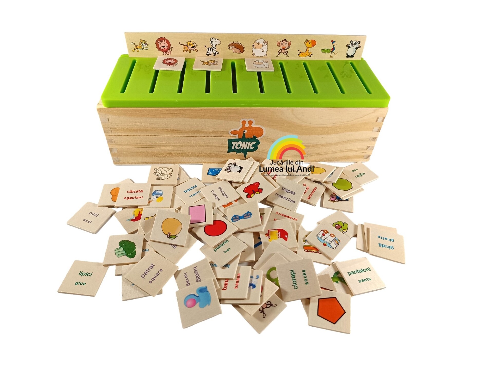Poze site fundal alb (504) Joc Montessori de clasificare, sortare și asociere în limba romană - imagine 1