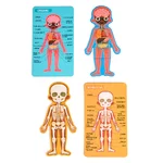 Joc tip puzzle cu anatomia corpului uman, fetiță – în limba română și engleză - imagine 6