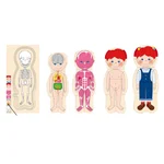 Puzzle din lemn în straturi cu anatomia corpului uman - model fată - imagine 2
